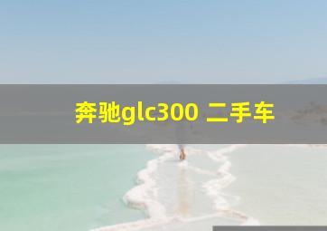 奔驰glc300 二手车